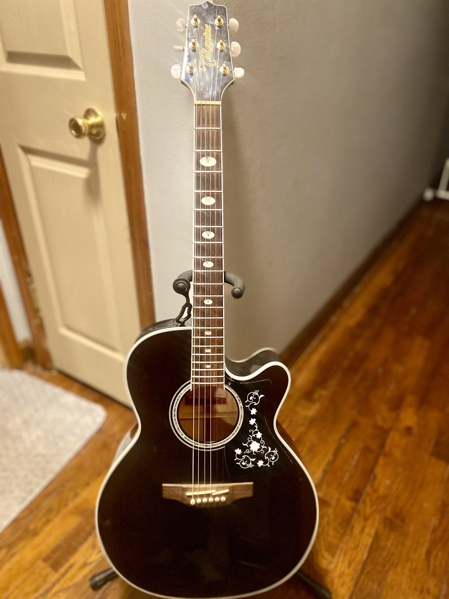 Takamine Guitar