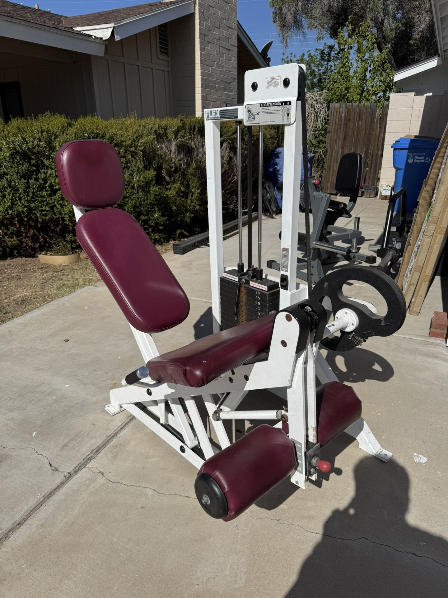 Flex Fitness Leg Extension 