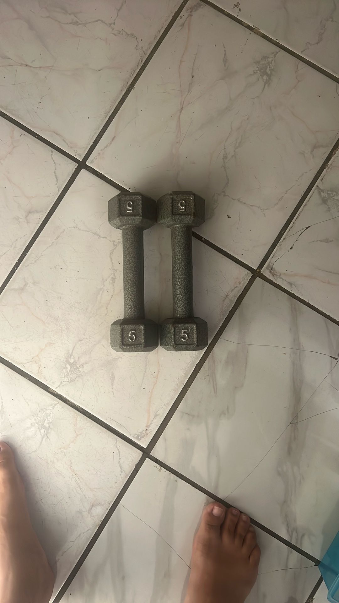 5lb Weights 