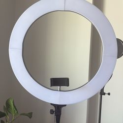 Large Ring Light 