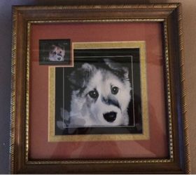 Framed USPS 2002 37 cents "Spay & Neuter" Puppy Postage Stamp)