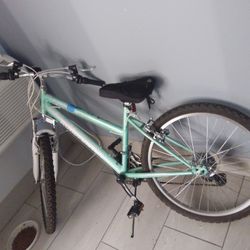 Roadmaster Bile