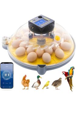 Incubator