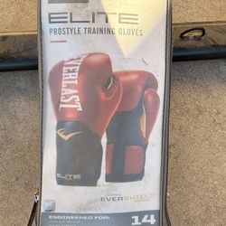 Punching Bag/ Gloves 