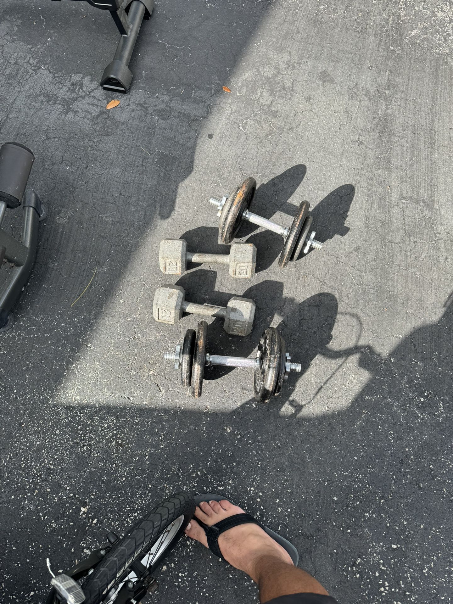 Gym Equipment Bench