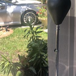Boxing Ball On A Stand