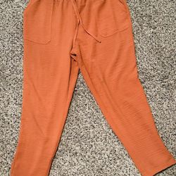 New York Petite Pants