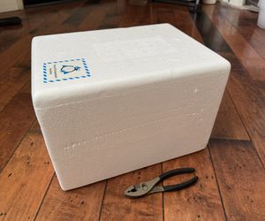 Foam Shipper Thermo Insulated Cold Shipping Carton
