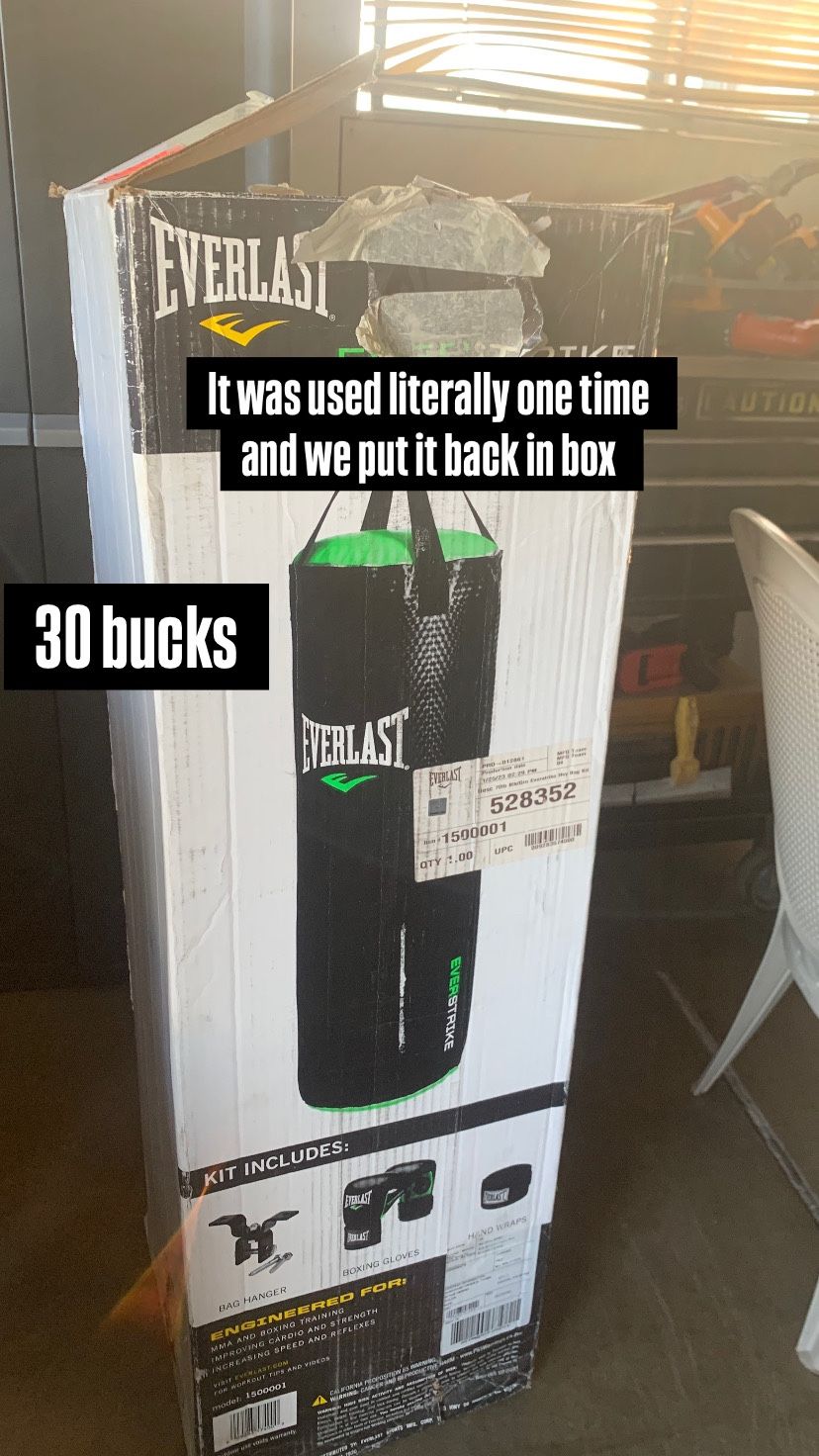 Everlast Boxing Bag