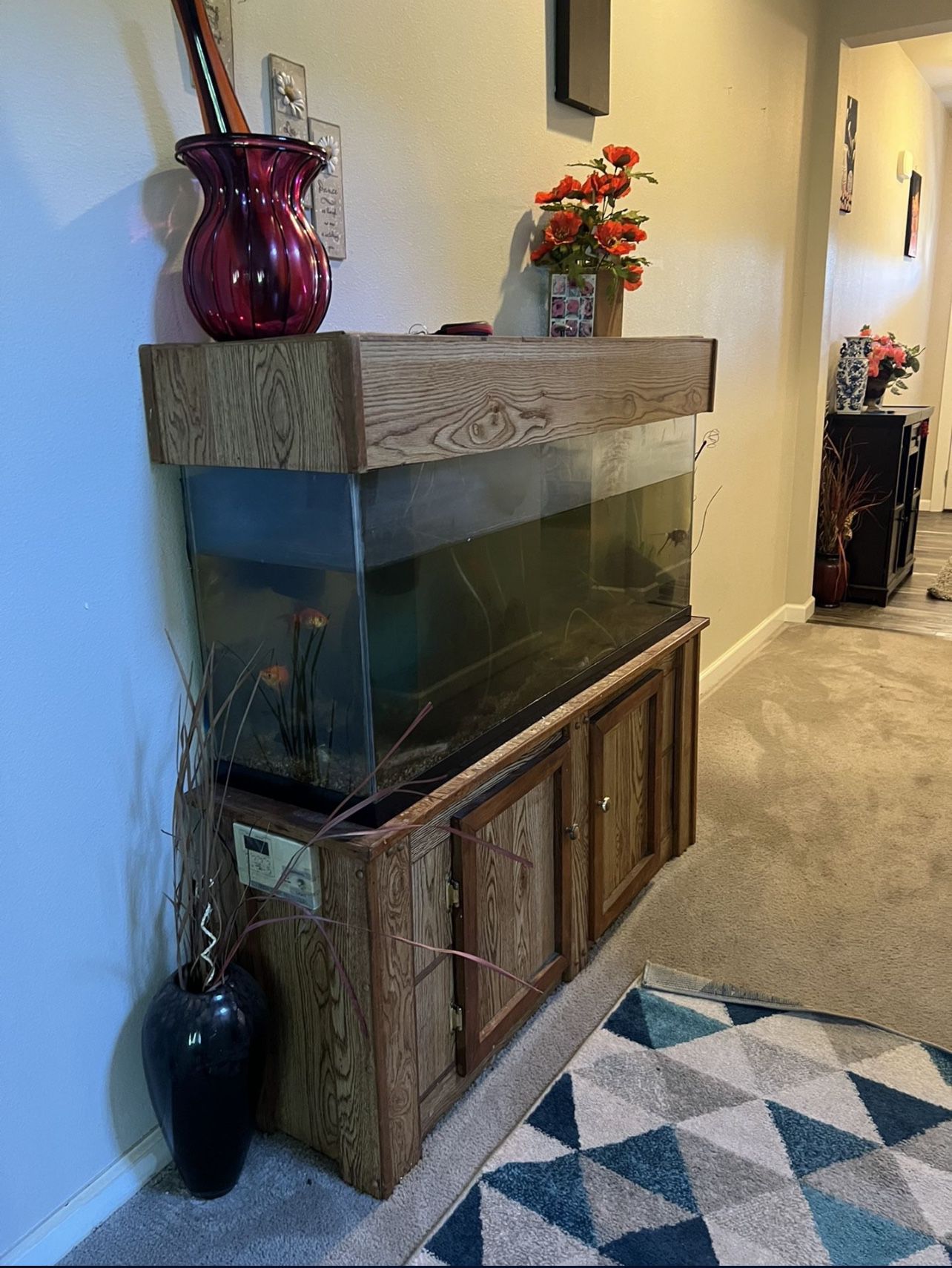 55 Gallons With Fish 