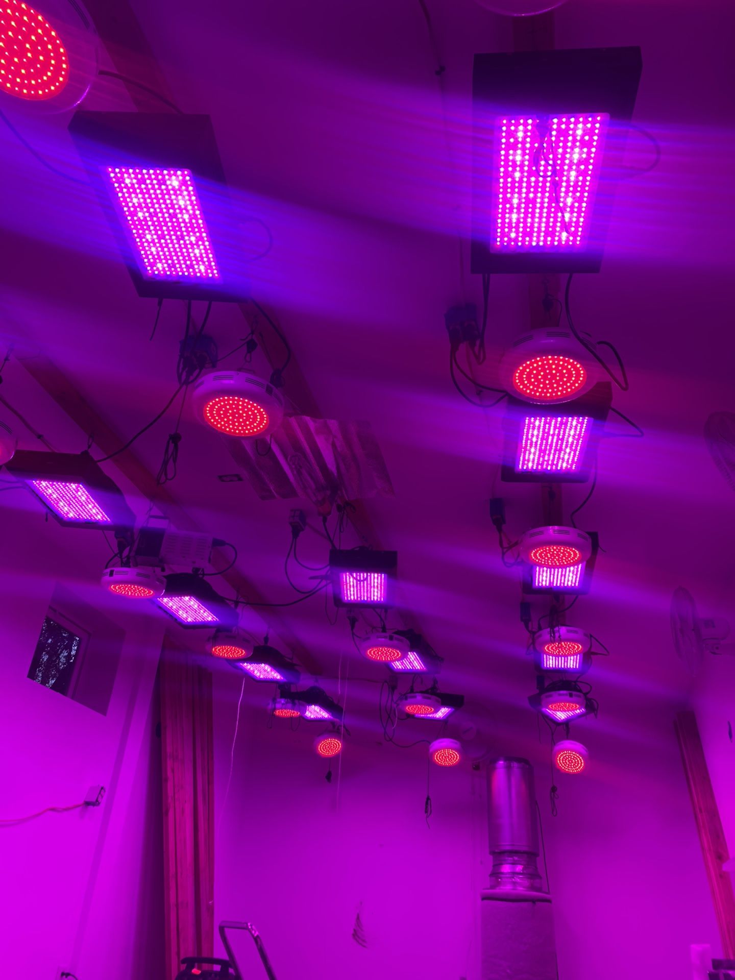 900 watt full spectrum LED grow lights