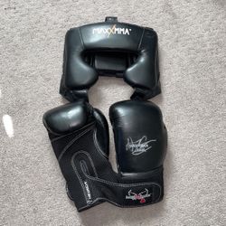 Boxing Headgear And Gloves 