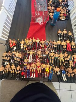 $5 wwe action figurws