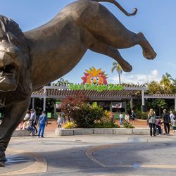 San Diego Zoo And Safari Park Tickets