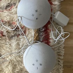Two Amazon Echo Premium Sound Speakers