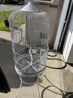Bird Cage