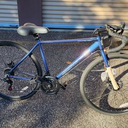 Genesis Bohe Bike Good For Gravel Brand New Paid $350 