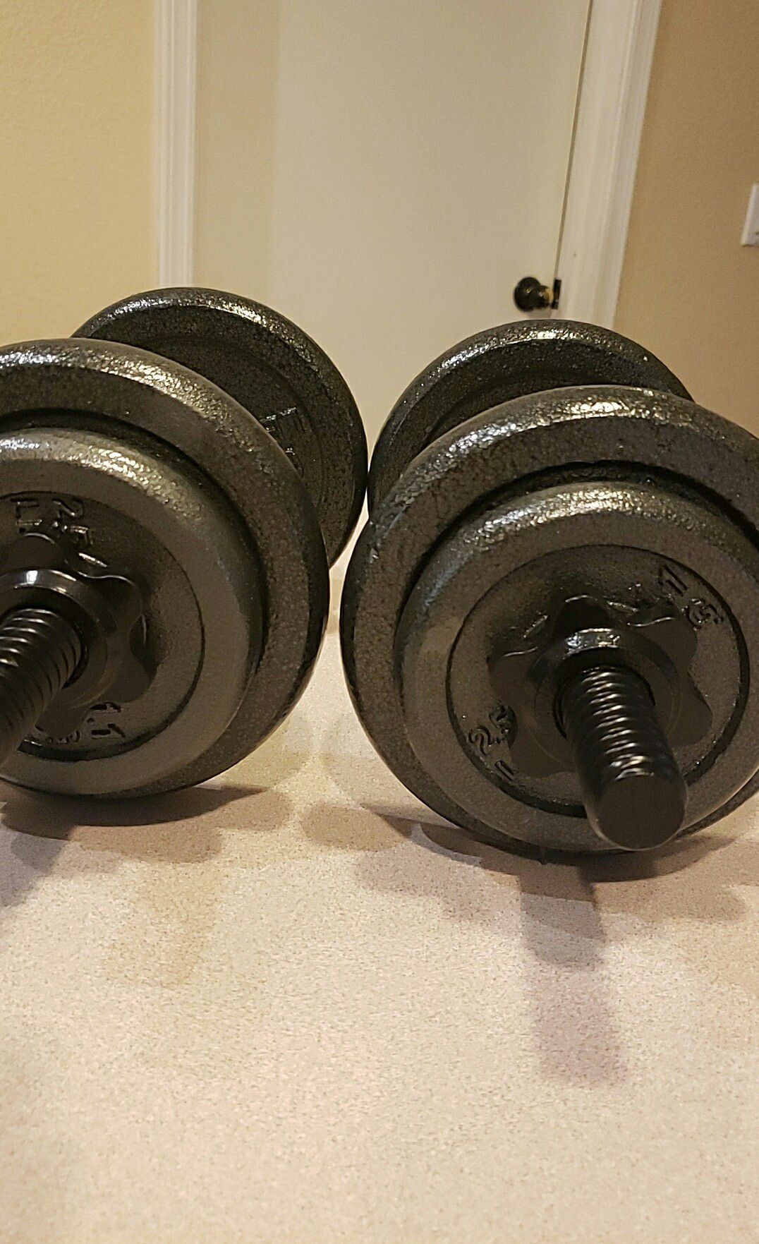 40lb Adjustable Dumbbell Weights - Pair