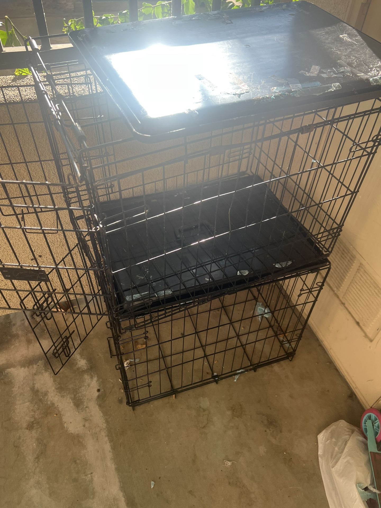 Dog Cages 