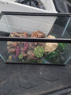 Fish tank
