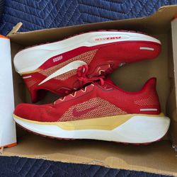 Nike pegasus 41