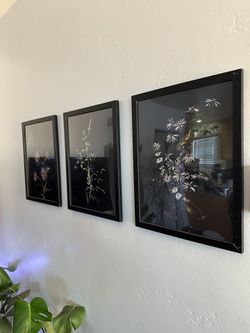 Framed Botanical Prints