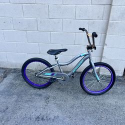 20 Inch Girls Schwinn Bike