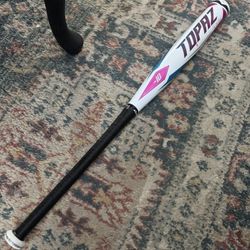 29 Easton Softball Bat