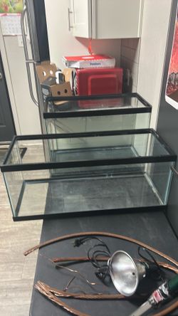 Fish Tank