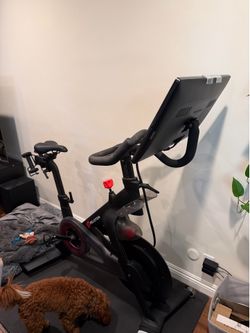 Peloton