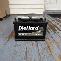 NEW PLATINUM BATTERY