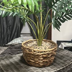 Hamper & Faux House Plant