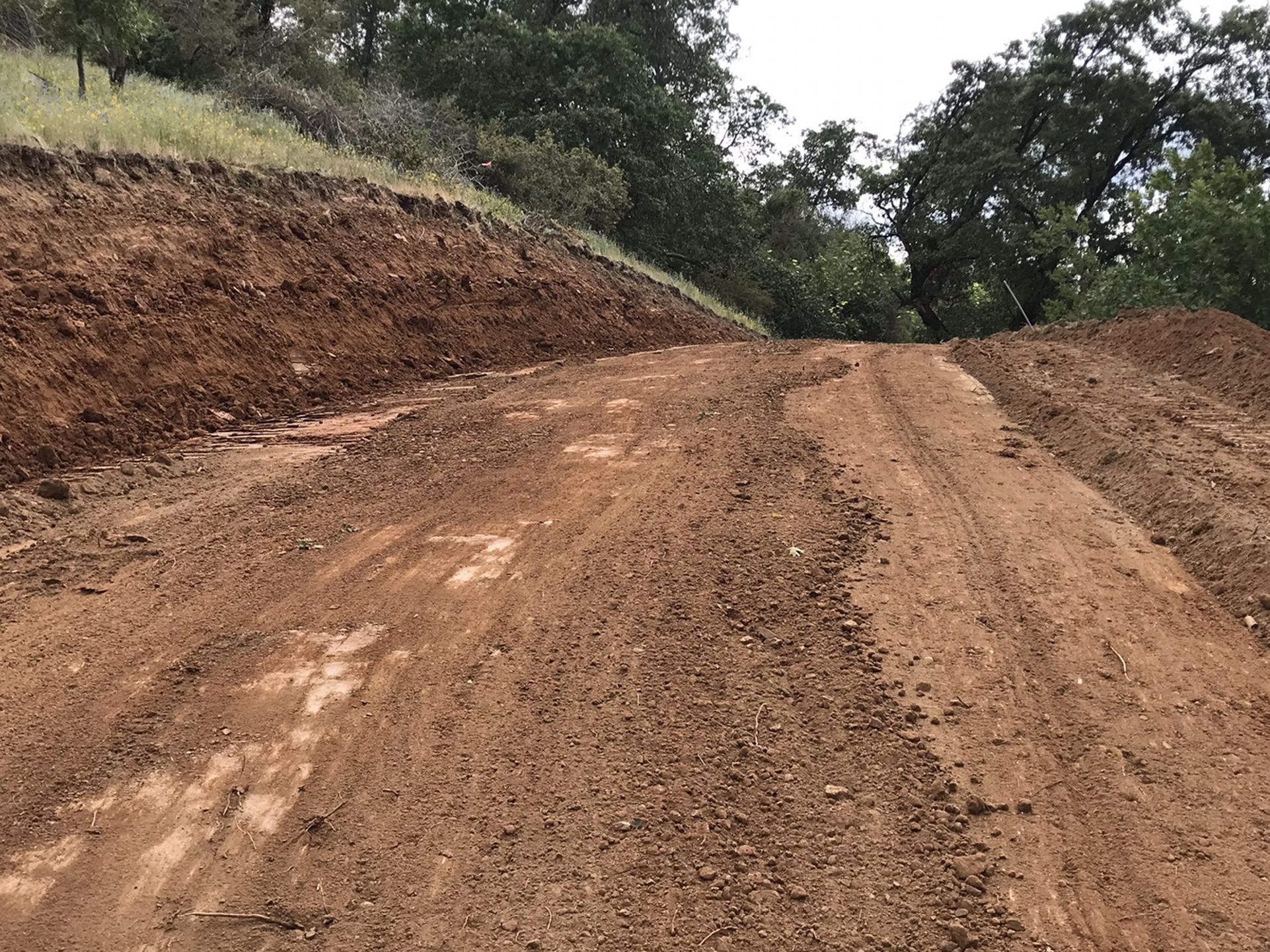 Rector’s Dozer Work