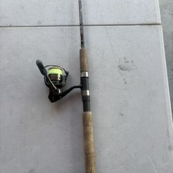 Penn Battle 2000 Spinning Reel & Star Rod Combo