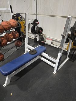 Flex Fitness Commercial Grade Flat Bench Press Workout Fitness Gym Equipment