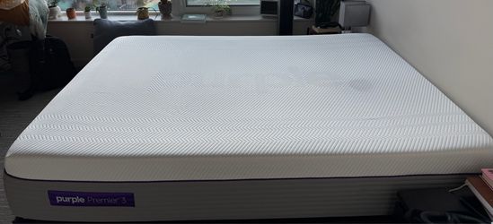 Purple Premier 3 (Queen)