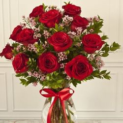 1 Dozen Red Roses 