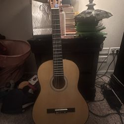 Acoustic Guitar 