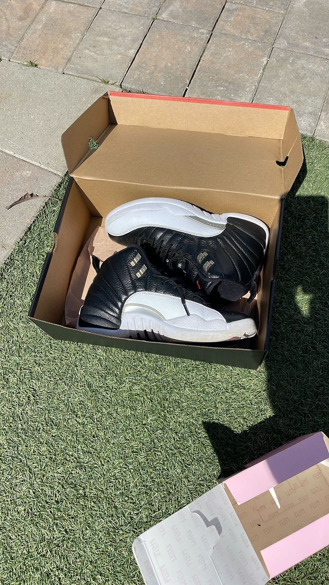 jordan 12