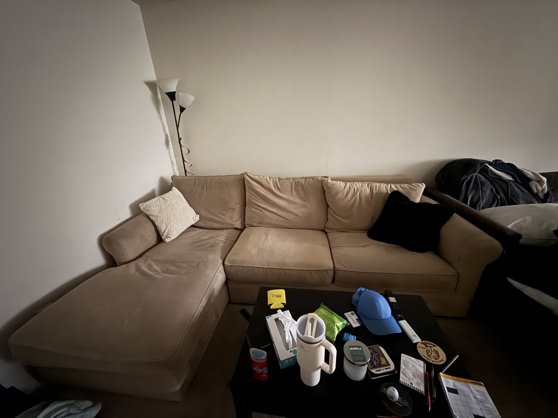 Sectional Couch