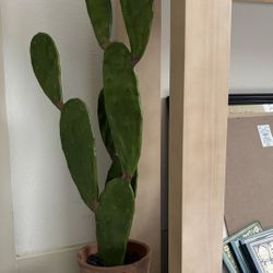 Pottery Barn Faux Cactus