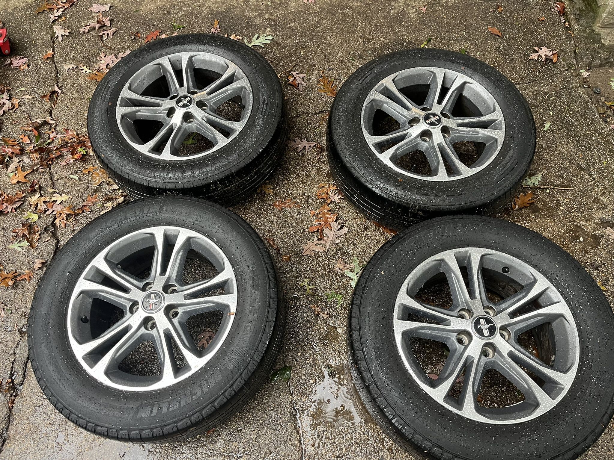 2017 Mustang Stock Wheels And Tires 