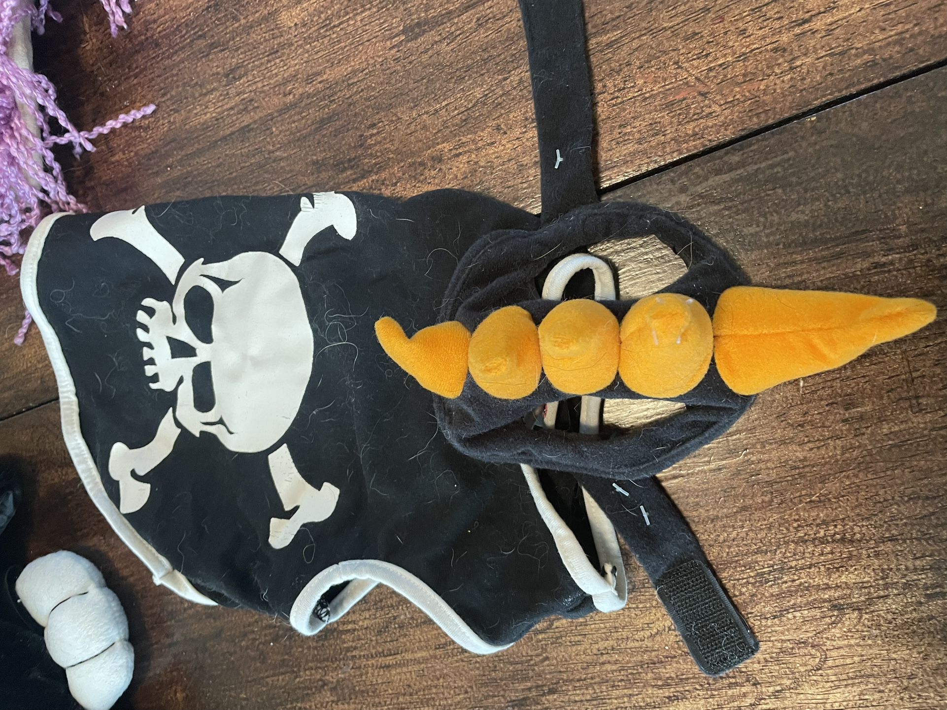 small bad to the bone pet costume