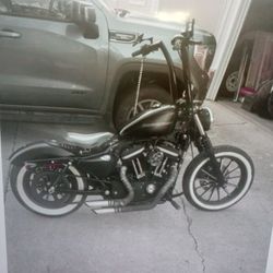 2009 Harley Davidson Iron 883