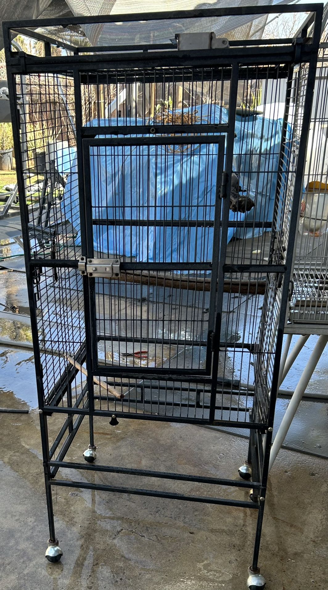 Bird Cage