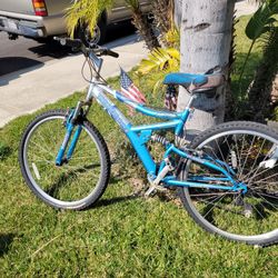 Mt Bike