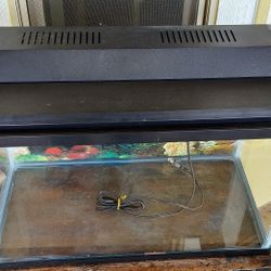 10 Gallon Fish Tank