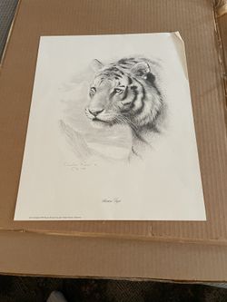 Charles Fracé ‘Siberian Tiger’ - Signed - 1979