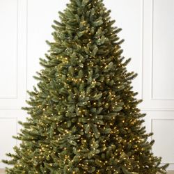 Balsam Hill 6.5 Full Vermont White Spruce 