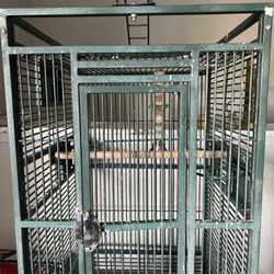 Bird Cage